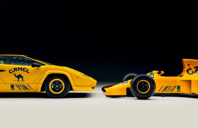 The Camel Collection